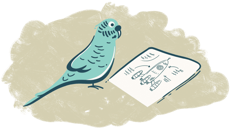 Parakeeto illustration