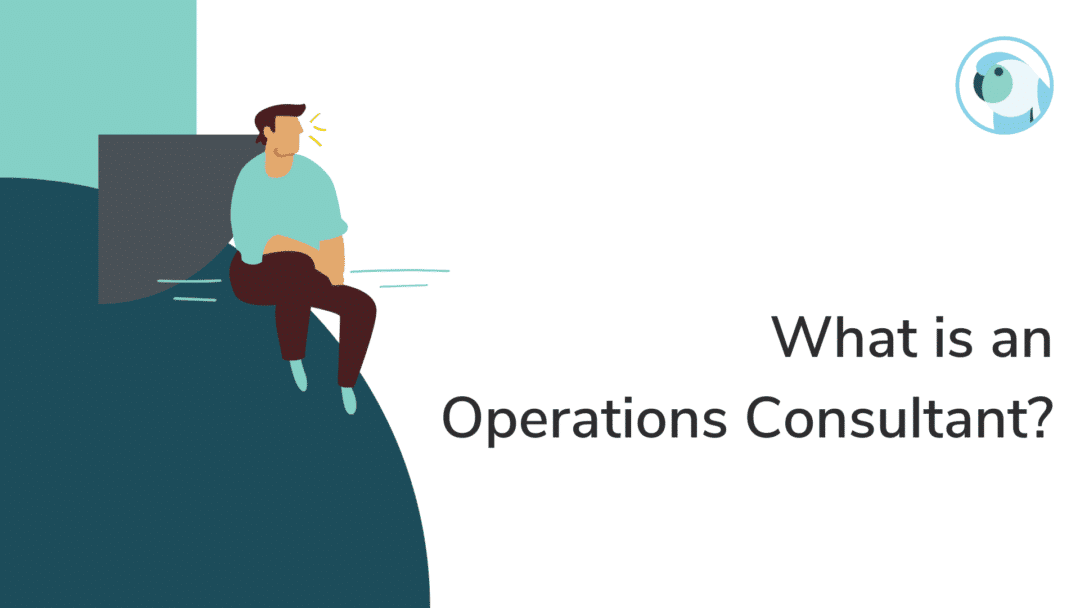 Operations Consultant:  Does Your Agency Need One?